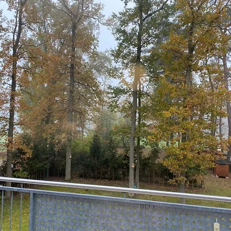 Ferienapartment Waldblick * 포르히하임